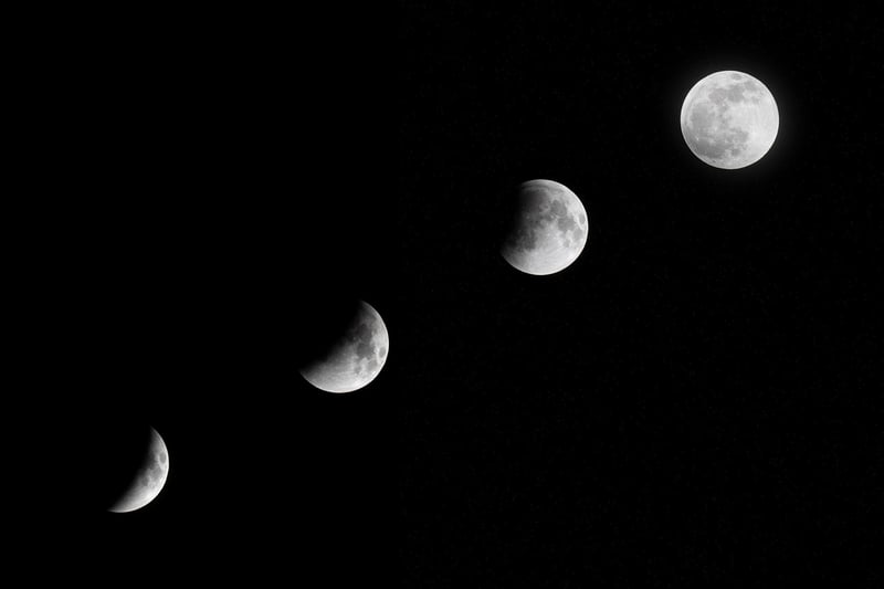 Mystical Moonlit Elegance